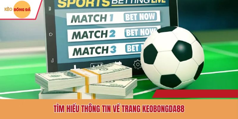 Tìm hiểu thông tin về trang Keobongda88